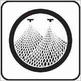 A Carp Gives a Lesson in Perseverance