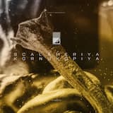 Final Form Manifesto