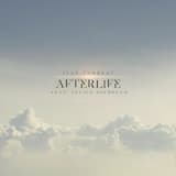 Afterlife
