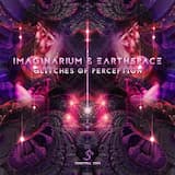 Glitches of Perception