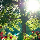 Provence (improvised – with intro)