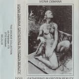 Lost in the Swirling Distance