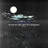 The Moon Does Reflect Off the Shores of Forgiveness