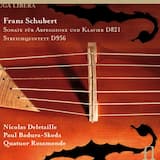 String Quintet in C major, op. 163, D. 956: III. Scherzo: Presto