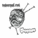 Snake Sheds Its Skin