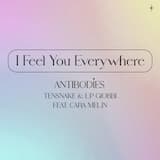 I Feel You Everywhere (Antibodies)