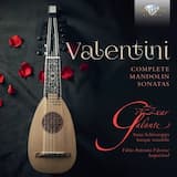 Sonata No. 9 in D Major, Op. 2, No. 9: I. Allegro