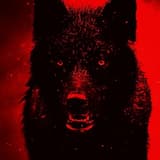 KÄMPFERNATUR I Freestyle Mittwuch