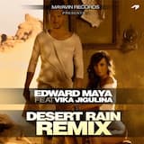 Desert Rain (official remix)