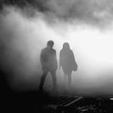 The Fall of the Leaves Never Cease