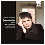 4 Impromptus, D. 899: I. Allegro molto moderato