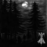 Des forêts de cadavres