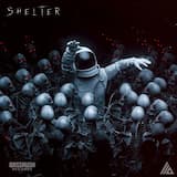 Shelter