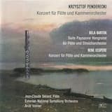 Konzert für Flöte und Kammerorchester