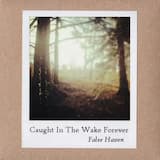 This House Is Not the Same