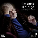 Symphony No. 7: IV. Grave