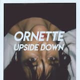 Walk on the Wild Side (Lou Reed Cover)