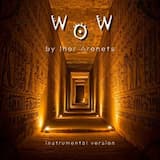 WOW (Instrumental Version)