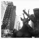 DTF Jesus / The Betsy Devos School for Future Satanists