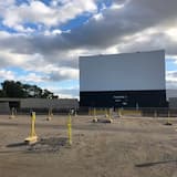 When Traveling Internationally I'm As Resourceful As A Lizard