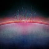 Light Through the Veins