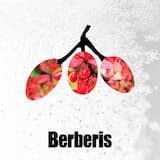 Where Exactly - Original Mix