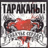 Собачье сердце