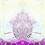 ███ɯ̸ǝ̷ɥ̸ʇ̸ ɯ̸o̸ɹ̷ɟ̸███free yourself███