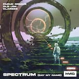 Spectrum (Say My Name)