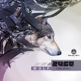 Experience of Life (Wolf edit 2016)