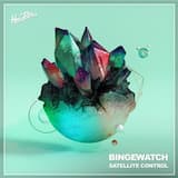 Satellite Control (Original Mix)
