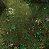 Alone Into the Crowd