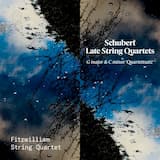 String Quartet in C minor “Quartettsatz”, D. 703: Andante
