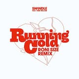 Running Cold (Roni Size remix)