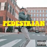 Pedestrian