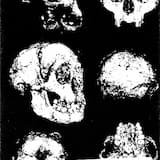 Two More Classes Until Blackout Weekend