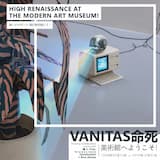 Yves Klein Blue ~ The shape of an idea