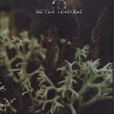 Snakeroot and Bloodletting