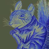 Celebration Minstrels