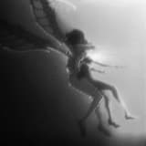 a fading echo of what once was