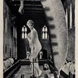 “Tunnel” Language