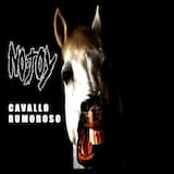 Sognando un cielo stellato