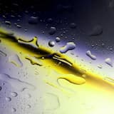 So That the City Can Begin to Exist