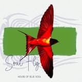 Soul Fly