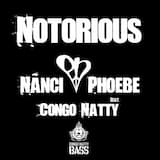 Notorious (Vital Elements remix)