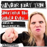 Something You Should Know (original mix)