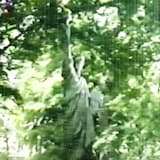 ๐โ๐ ๐๐๐ฃ๐๐ ๐๐๐๐๐๐ ๐๐๐ข๐๐๐๐ฆ