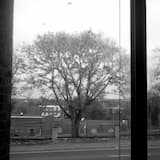 Commentary on Impermanence