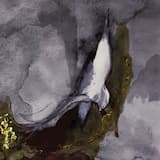 Legs Folded Under, Methacrylate Floor