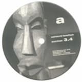 Rubber Spider Monkey